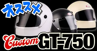 Custom GT-750-2