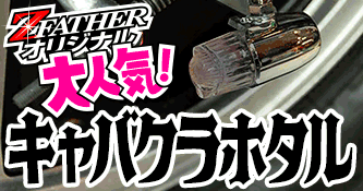 キャバクラホタル