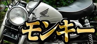 RG250E用極太メッキゴム巻きタンデムバー | 旧車バイクカスタムパーツ