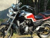 バイクハンドル　エバハンしぼり20cm