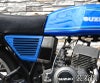RG250E用アルフィンカバー